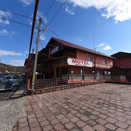 Pensiunea Dealul Viilor Deva Dış mekan fotoğraf